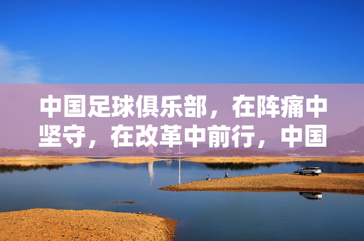 中国足球俱乐部,在阵痛中坚守,在改革中前行,中国足球俱乐部的阵痛坚守与改革前行