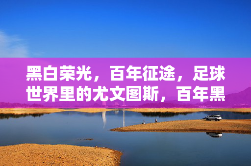 黑白荣光，百年征途，足球世界里的尤文图斯，百年黑白荣光，足球世界的尤文征途