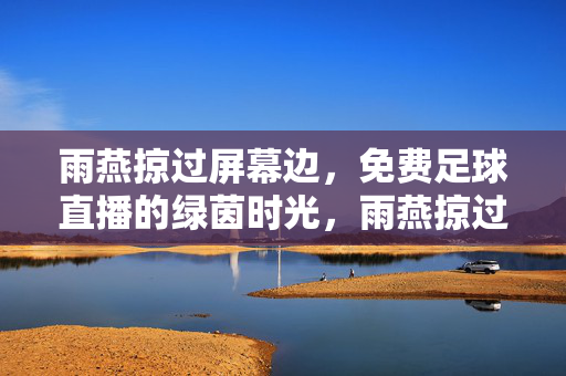雨燕掠过屏幕边,免费足球直播的绿茵时光,雨燕掠过屏幕,免费绿茵直播时光