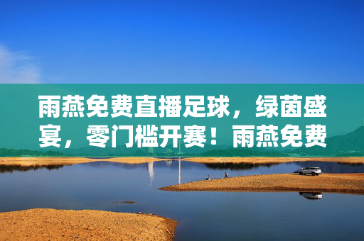 雨燕免费直播足球，绿茵盛宴，零门槛开赛！雨燕免费直播足球，绿茵盛宴零门槛开赛！