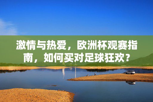 激情与热爱，欧洲杯观赛指南，如何买对足球狂欢？