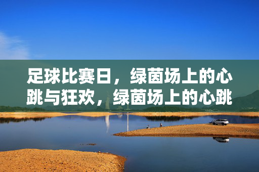 足球比赛日，绿茵场上的心跳与狂欢，绿茵场上的心跳狂欢