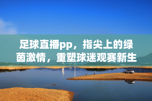 足球直播pp，指尖上的绿茵激情，重塑球迷观赛新生态，足球直播pp，指尖绿茵激情，重塑观赛新生态