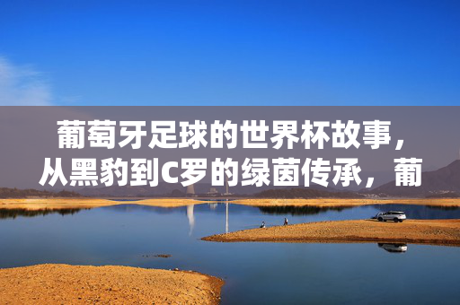 葡萄牙足球的世界杯故事，从黑豹到C罗的绿茵传承，葡萄牙世界杯绿茵传承，从黑豹到C罗