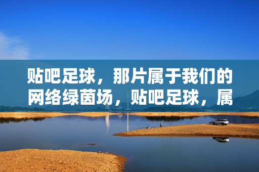 贴吧足球，那片属于我们的网络绿茵场，贴吧足球，属于我们的网络绿茵场
