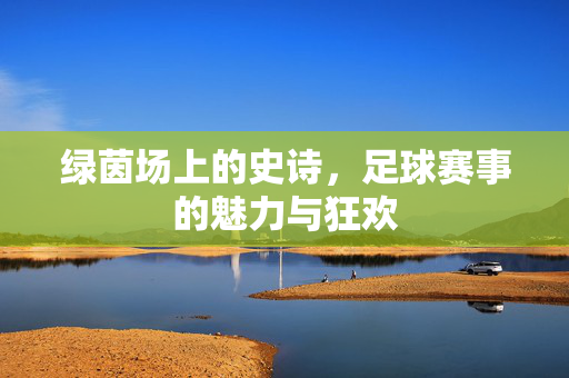 绿茵场上的史诗，足球赛事的魅力与狂欢
