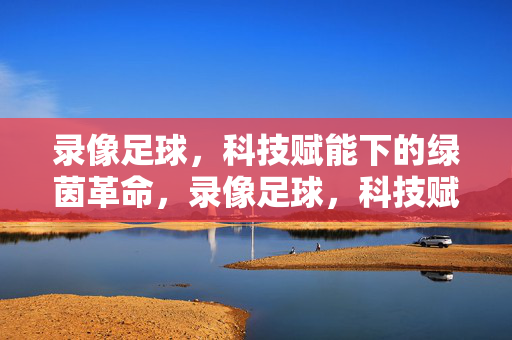 录像足球，科技赋能下的绿茵革命，录像足球，科技赋能的绿茵革命