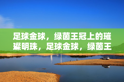 足球金球，绿茵王冠上的璀璨明珠，足球金球，绿茵王冠的璀璨明珠