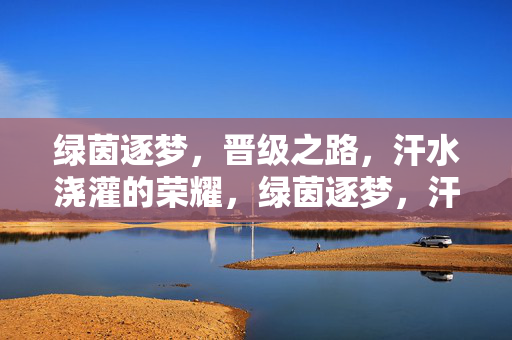 绿茵逐梦，晋级之路，汗水浇灌的荣耀，绿茵逐梦，汗水浇灌晋级荣耀