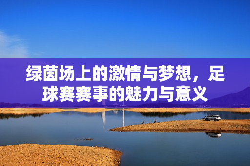 绿茵场上的激情与梦想，足球赛赛事的魅力与意义