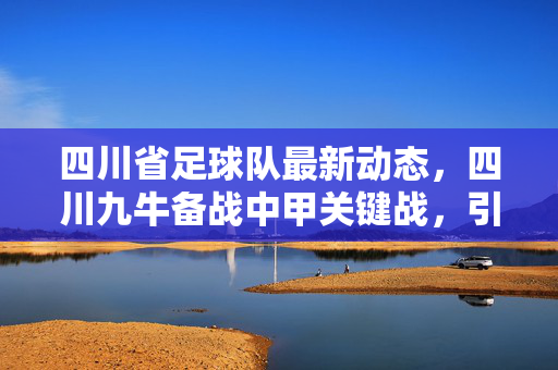 四川省足球队最新动态，四川九牛备战中甲关键战，引援与青训双管齐下，四川九牛备战中甲关键战 引援青训双管齐下