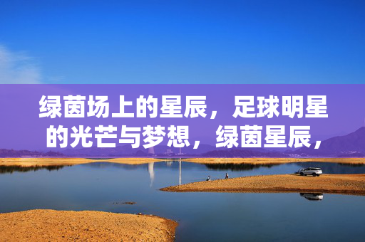 绿茵场上的星辰，足球明星的光芒与梦想，绿茵星辰，足球明星的光芒与梦想