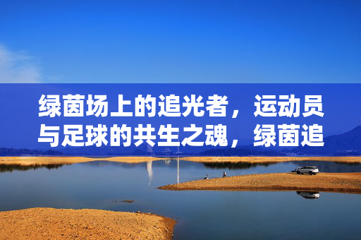 绿茵场上的追光者，运动员与足球的共生之魂，绿茵追光者，足球与运动员的共生之魂