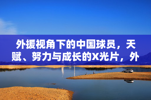 外援视角下的中国球员，天赋、努力与成长的X光片，外援视角，中国球员天赋、努力与成长的X光片