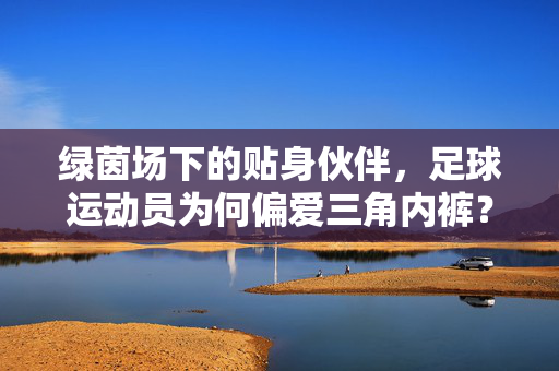 绿茵场下的贴身伙伴，足球运动员为何偏爱三角内裤？绿茵场下的贴身伙伴，足球运动员偏爱三角内裤的缘由