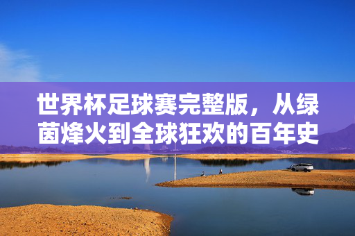 世界杯足球赛完整版，从绿茵烽火到全球狂欢的百年史诗，世界杯，从绿茵烽火到全球狂欢的百年史诗