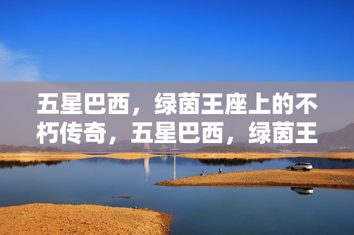 五星巴西，绿茵王座上的不朽传奇，五星巴西，绿茵王座的不朽传奇
