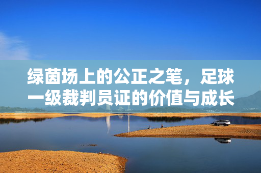 绿茵场上的公正之笔，足球一级裁判员证的价值与成长，绿茵场上的公正之笔，足球一级裁判员证的价值与成长