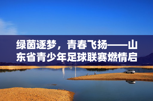 绿茵逐梦，青春飞扬——山东省青少年足球联赛燃情启幕，绿茵逐梦，青春飞扬——山东省青少年足球联赛燃情启幕
