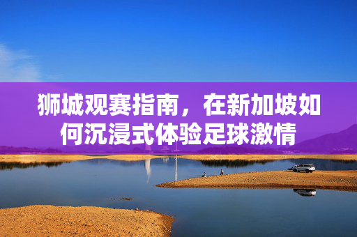 狮城观赛指南，在新加坡如何沉浸式体验足球激情