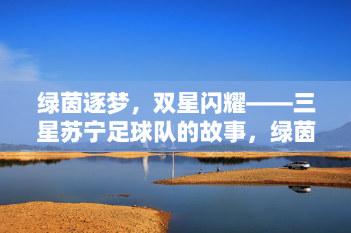 绿茵逐梦，双星闪耀——三星苏宁足球队的故事，绿茵逐梦，双星闪耀——三星苏宁足球队的故事
