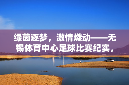 绿茵逐梦，激情燃动——无锡体育中心足球比赛纪实，绿茵逐梦，激情燃动——无锡体育中心足球比赛纪实