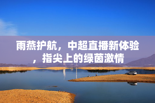 雨燕护航，中超直播新体验，指尖上的绿茵激情
