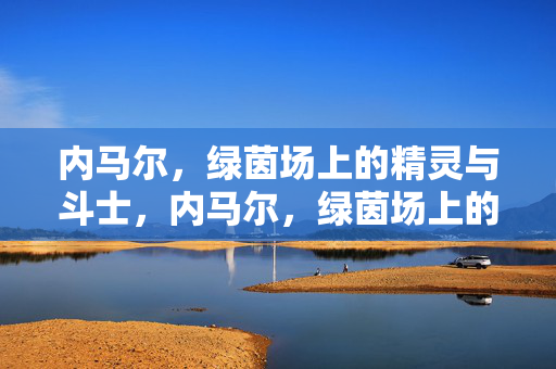 内马尔，绿茵场上的精灵与斗士，内马尔，绿茵场上的精灵斗士