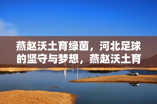 燕赵沃土育绿茵，河北足球的坚守与梦想，燕赵沃土育绿茵 河北足球坚守筑梦
