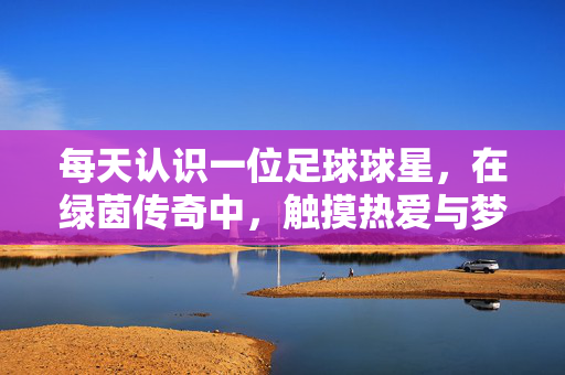 每天认识一位足球球星,在绿茵传奇中,触摸热爱与梦想,每日球星,绿茵传奇里的热爱与梦想