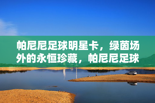 帕尼尼足球明星卡，绿茵场外的永恒珍藏，帕尼尼足球明星卡，绿茵场外的永恒珍藏
