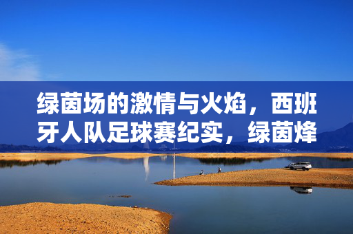 绿茵场的激情与火焰，西班牙人队足球赛纪实，绿茵烽火，西班牙人队战记