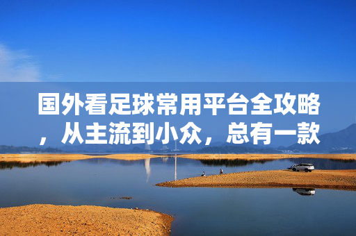 国外看足球常用平台全攻略，从主流到小众，总有一款适合你，国外看足球平台全攻略，主流到小众，总有一款适合你