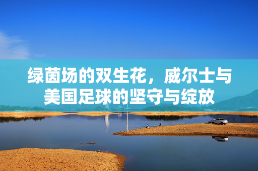 绿茵场的双生花,威尔士与美国足球的坚守与绽放