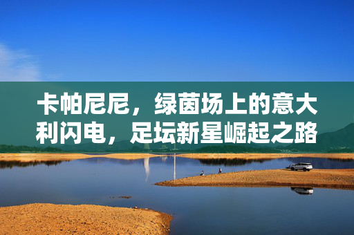 卡帕尼尼，绿茵场上的意大利闪电，足坛新星崛起之路，绿茵闪电卡帕尼尼，足坛新星崛起之路