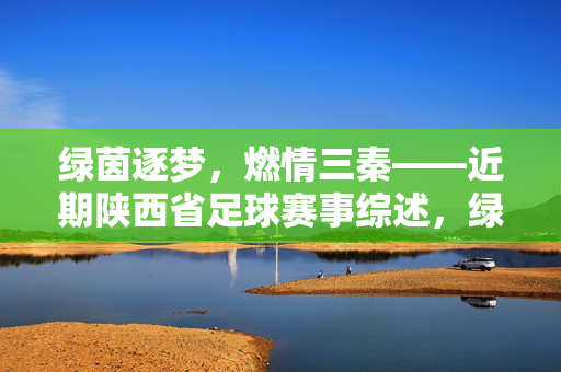 绿茵逐梦，燃情三秦——近期陕西省足球赛事综述，绿茵逐梦，燃情三秦