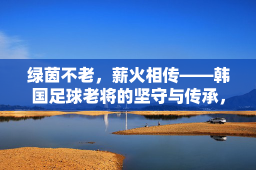 绿茵不老，薪火相传——韩国足球老将的坚守与传承，韩国足球老将，绿茵不老薪火传