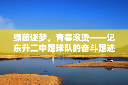绿茵逐梦，青春滚烫——记东升二中足球队的奋斗足迹，绿茵逐梦，青春滚烫——东升二中足球队奋斗足迹