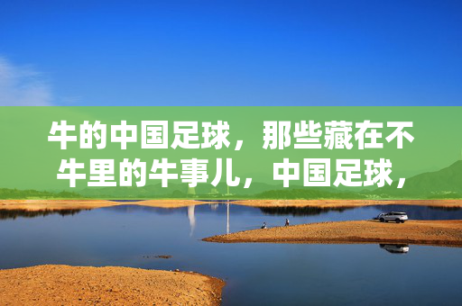 牛的中国足球，那些藏在不牛里的牛事儿，中国足球，不牛里的牛事儿