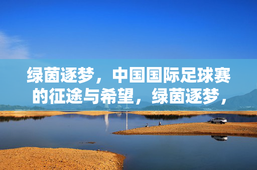 绿茵逐梦，中国国际足球赛的征途与希望，绿茵逐梦，中国国际足球赛的征途与希望