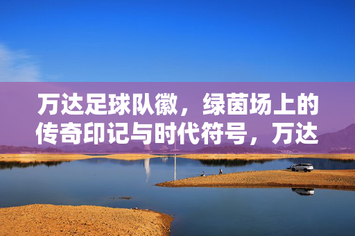 万达足球队徽，绿茵场上的传奇印记与时代符号，万达足球队徽，绿茵场上的传奇与时代符号