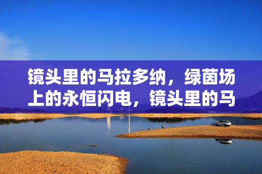 镜头里的马拉多纳，绿茵场上的永恒闪电，镜头里的马拉多纳，绿茵永恒闪电