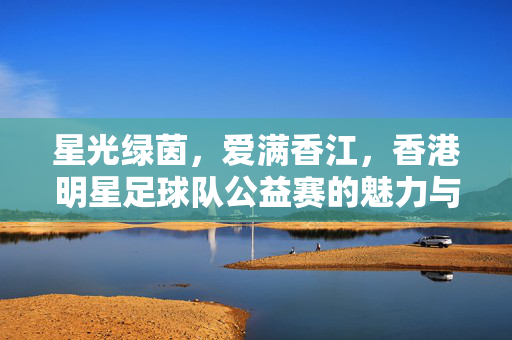 星光绿茵，爱满香江，香港明星足球队公益赛的魅力与温度，星光绿茵，爱满香江，香港明星足球队公益赛的魅力与温度