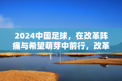 2024中国足球，在改革阵痛与希望萌芽中前行，改革阵痛与希望萌芽，2024中国足球前行