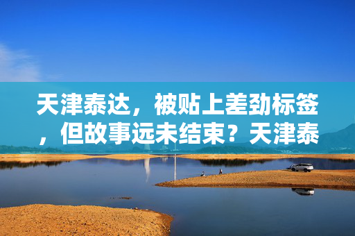 天津泰达，被贴上差劲标签，但故事远未结束？天津泰达，差劲标签难掩未完待续