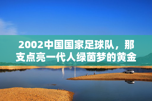 2002中国国家足球队，那支点亮一代人绿茵梦的黄金一代，点亮一代人绿茵梦的2002黄金一代