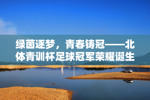 绿茵逐梦，青春铸冠——北体青训杯足球冠军荣耀诞生，绿茵逐梦，青春铸冠——北体青训杯足球冠军荣耀诞生