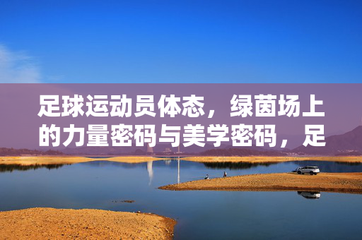 足球运动员体态，绿茵场上的力量密码与美学密码，足球体态，绿茵场的力量美学密码
