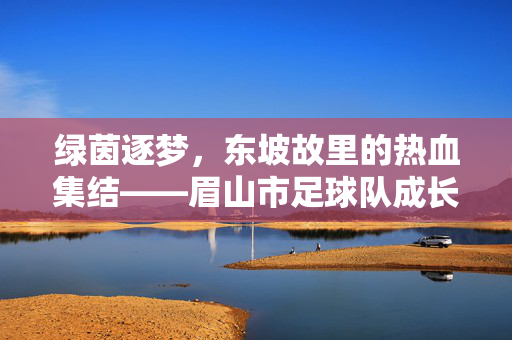 绿茵逐梦,东坡故里的热血集结——眉山市足球队成长记,东坡故里绿茵梦,眉山市足球队成长记