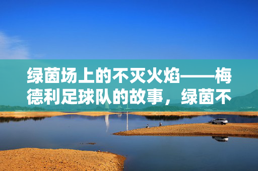 绿茵场上的不灭火焰——梅德利足球队的故事，绿茵不灭火焰，梅德利足球队的故事
